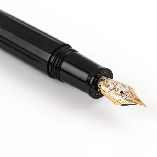 Delta Bio+16 Fountain Pen - Black GT For Discount