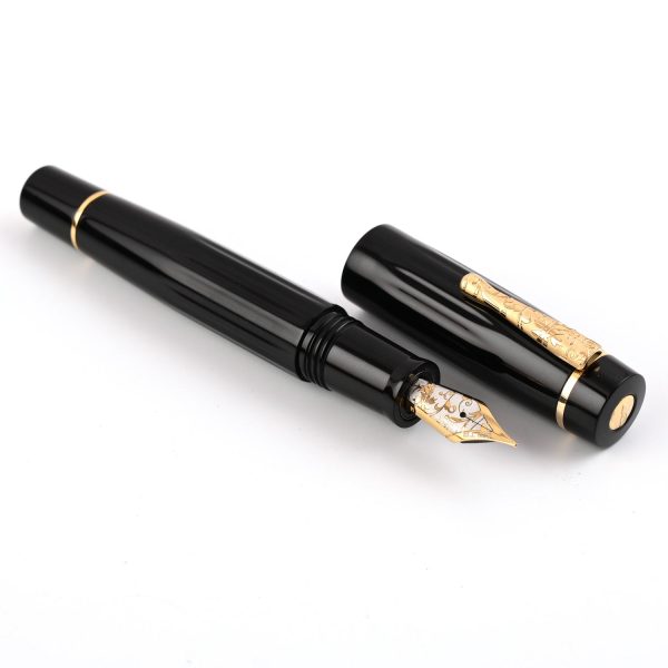 Delta Bio+16 14K Gold Fountain Pen - Black GT For Cheap