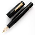 Delta Bio+16 14K Gold Fountain Pen - Black GT For Cheap