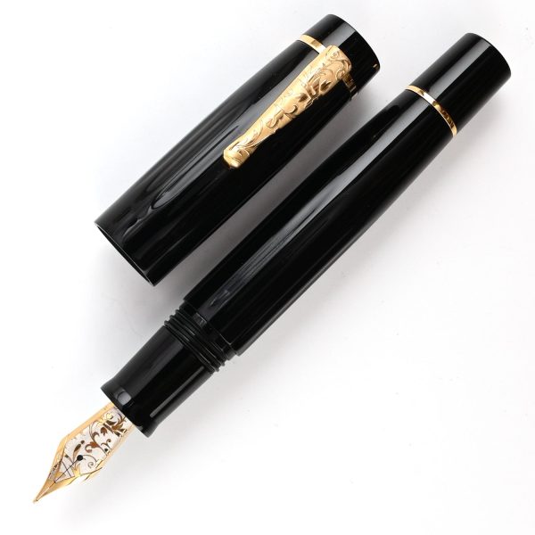 Delta Bio+16 Fountain Pen - Black GT For Discount