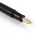 Delta Bio+16 No. 8 14K Gold Fountain Pen - Black GT For Cheap